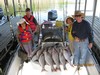(04/18/2017) - Nice Striped Bass